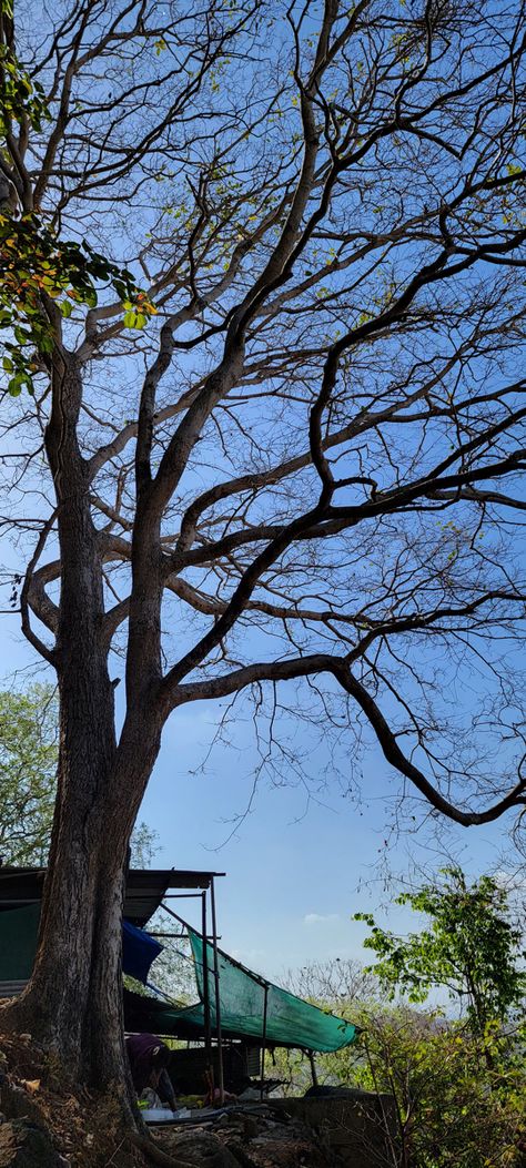 #sky #naturelovers #uttrakhand #haldwani Haridwar Snap, Uttrakhand Photography, Haridwar, Landscape Photography Nature, Sky Photos, Snap Food, Photography Nature, Instagram Captions, Photo Dump