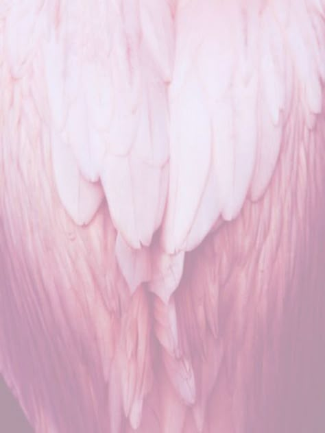 Pink Angel Wings Aesthetic, Pink Barbarian Aesthetic, Pink Celestial Aesthetic, Angel Grunge Aesthetic, Yamikawaii Aesthetic, Celestial Warlock, Pink Angel Aesthetic, Pink Angel Wings, Pink Wings