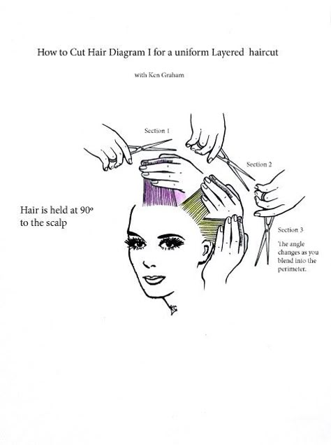 Diagram for a Uniform Layered Hair Cut Lisa Rinna Haircut, Haircut Diagram, Hair In Layers, How To Cut Hair, How To Cut Your Own Hair, Diy Haircut, Lisa Rinna, Hair Techniques, Cut Hair