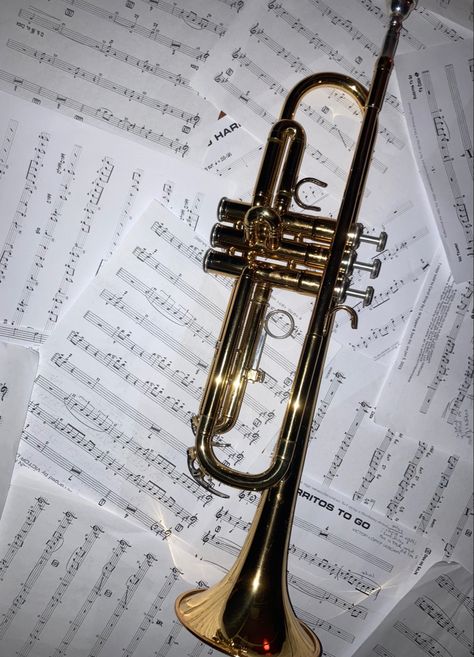 Jazz Trumpet Aesthetic, Jazz Musician Aesthetic, Jazz Band Aesthetic, Trumpet Pictures, Aesthetic Trumpet, Jazzy Aesthetic, Richard Core, Trumpet Aesthetic, Peppermint Fizz