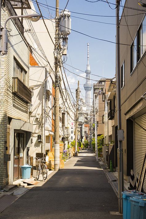 Tokyo Alleyway, Japanese Alleyway, Tokyo Alley, Tokyo Aesthetic, Perjalanan Kota, Trip To Japan, Japan Street, Japanese Landscape, Japan Aesthetic