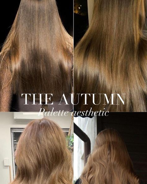 Colour analysis mood board for the Autumn Palette 🤍 . #coloranalysis #colouranalysis #autumnpalette #trueautumn #warmautumn #softautumn #deepautumn #darkautumn Soft Autumn Hair Color Palette, True Autumn Blonde Hair, True Autumn Hair, True Autumn Hair Color, Soft Autumn Aesthetic, Soft Autumn Hair Color, Soft Autumn Hair, Autumn Hair Colours, Autumn Hair Color