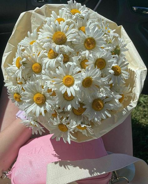 Daisy Flower Bouquet Aesthetic, Daisy Flower Bouquet, Daisies Bouquet, Bouquet Of Daisies, Daisy Bouquet, Boquette Flowers, Nothing But Flowers, Flower Therapy, Beautiful Bouquet Of Flowers