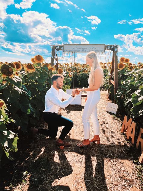 DIY Cute Engagement proposal in sunflower maze. Sunflower Proposal, Wedding Proposal Ideas Engagement, Sunflower Maze, Surprise Proposal Pictures, Sunflower Patch, Proposal Pictures, Engagement Proposal, Wedding Proposals, Surprise Proposal