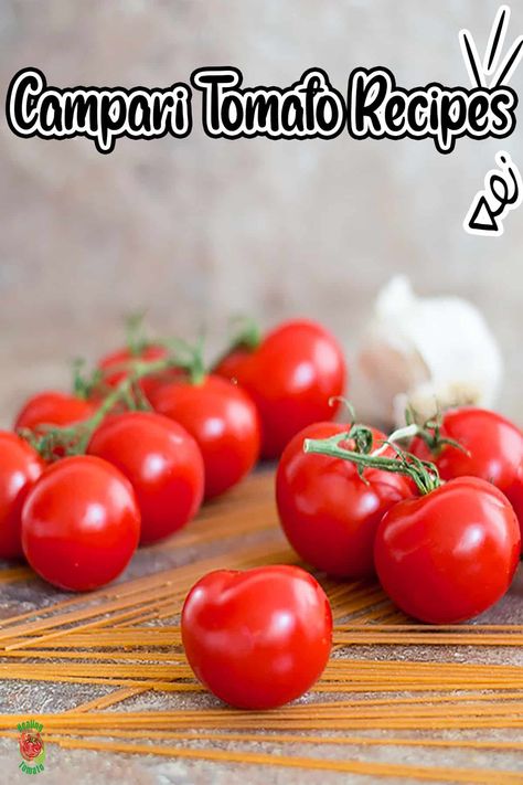 Campari Tomatoes Recipes, Recipes With Campari Tomatoes, Campari Tomato Sauce, Roasted Campari Tomatoes, Compari Tomatoes Recipes, Campari Tomato Recipes, Tomato Recipes Healthy, Tomato Sandwich Recipes, Campari Tomatoes