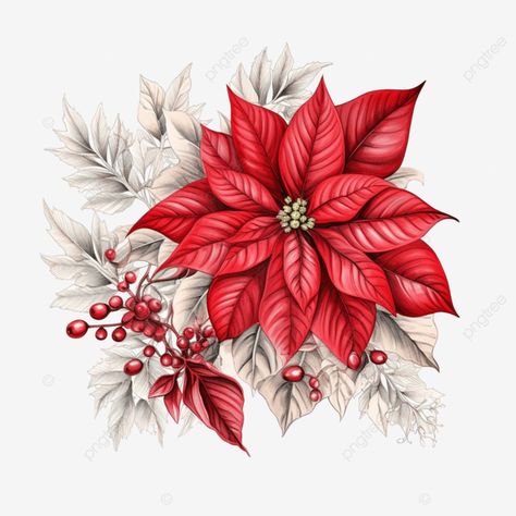 festive floral decoration poinsettia flower christmas star holiday symbol and sign sketch png Poinsettas Around Christmas Tree, Christmas Symbols, Christmas Graphic Design, Holiday Symbols, Christmas Tattoo, Flower Christmas, Graphic Design Cards, Sunflower Wall Art, Flower Sketches