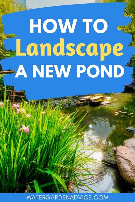 Fish Ponds Backyard, Small Backyard Ponds, Diy Ponds Backyard, How To Landscape, Indoor Pond, Fish Pond Gardens, Farm Pond, Building A Pond, Goldfish Pond