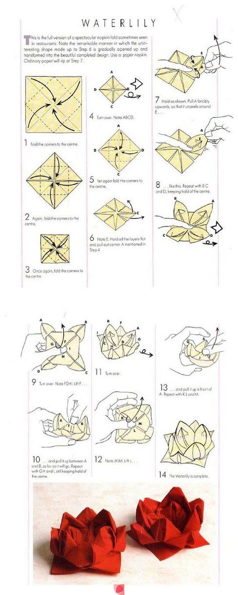 ORIGAMI WATER LILY Repiny - Most inspiring pictures and photos! Origami Water Lily, Diy Napkin Folding, Folding Techniques, Diy Napkins, Folding Origami, Napkin Folding, Origami Flowers, Paper Folding, Table Napkins