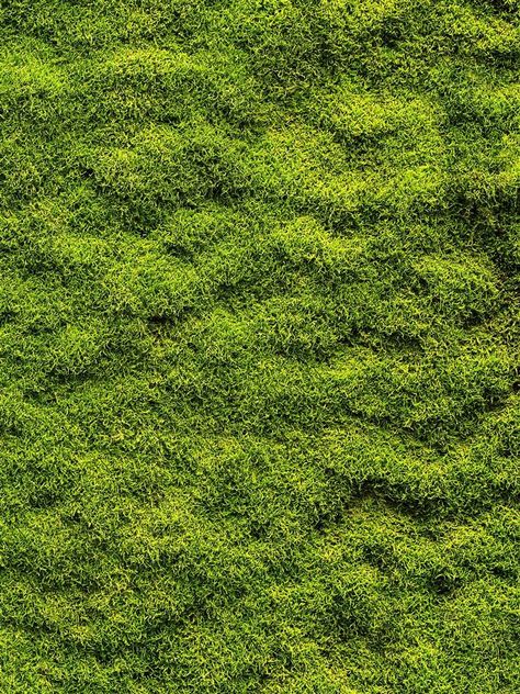 Grass Texture Architecture, Grass Texture Photoshop Architecture, Green Texture Architecture, Grass Texture Photoshop, Greenery Texture, Plant Top View, Grass Texture Seamless, Green Grass Texture, Grass Photoshop