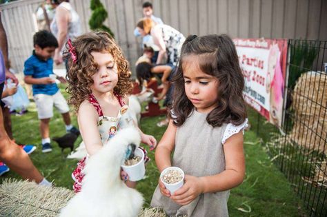 Juliana's Fun on the Farm Third Birthday  | Petting Zoo Party  CatchMyParty.com Petting Zoo Birthday Party, Petting Zoo Birthday, Petting Zoo Party, Fun On The Farm, Zoo Birthday Party, Farm Themed Birthday Party, Zoo Birthday, Zoo Party, Petting Zoo