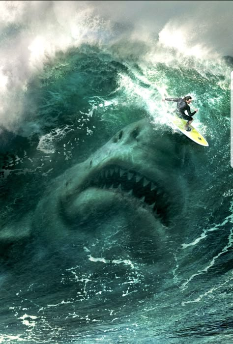 Scary Ocean, Sharks Scary, Mariana Trench, The Meg, Shark Photos, Shark Pictures, Megalodon Shark, Images Disney, Shark Art