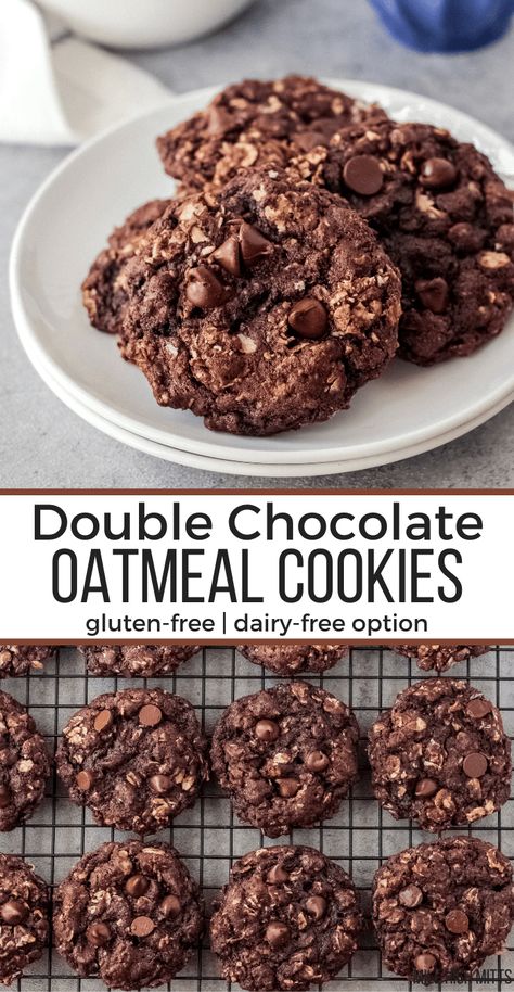 Chocolate Oat Cookies, Healthy Chocolate Cookies, Oat Cookie Recipe, Gluten Free Oatmeal Cookies, Healthy Oatmeal Cookies, Chocolate Oatmeal Cookies, Double Chocolate Chip Cookies, Chocolate Oats, Lost 100 Pounds