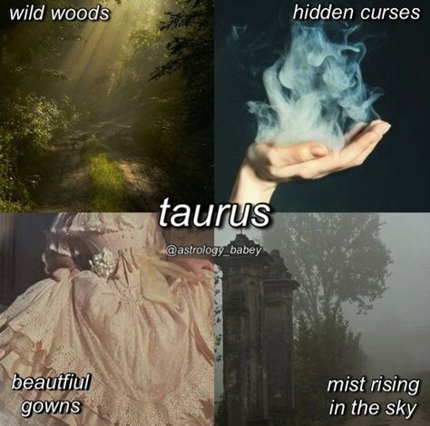 Taurus Journal, Taurus Wallpaper, Taurus Zodiac Quotes, Taurus Memes, Taurus Art, Taurus Zodiac Facts, Taurus Quotes, Astrology Taurus, Taurus Women