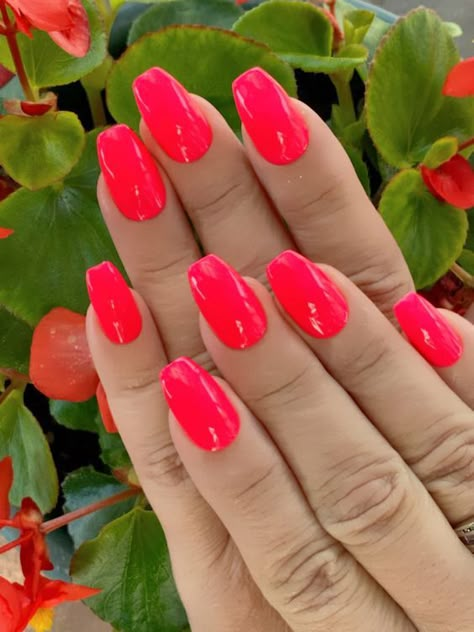 Hi all lovers of nail polish Eco Created Colors is a custom handmade 10 free, cruelty free, vegan polish 10 FREE IS BETTER FOR YOU AND ME! WILD WATERMELON- is part of our neon collection. This stunning and vibrant pink with a hint of orange hue says WOW that's bright. Your nails will have that tropical vibe all summer long. This vegan 10 free formula with a wide brush for application dries quickly and will not leave you with a streaky finish glides on smoothly. All of the neon collection have a Uñas Color Coral, Neon Pink Nail, Neon Pink Nail Polish, Nails Short Acrylic Almond, Short Acrylic Almond, Winter Nails Design, Wine Red Nails Acrylic, Bright Pink Nails, Red Nails Acrylic Square