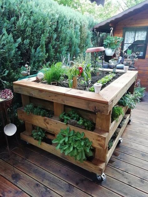 40 Spectacular Recycled Pallet Garden Ideas Pallet Projects Garden, Vegetable Garden Raised Beds, Thriving Garden, Veg Garden, Pallet Garden, Pallets Garden, Have Inspiration, Garden Yard Ideas, Vegetable Garden Design