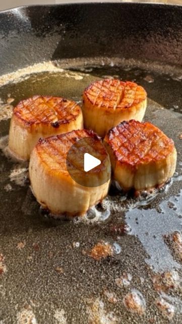 King Trumpet Mushroom Recipe, Mushroom Scallops, Tomato Aioli, Trumpet Mushroom, Fennel Bulb, Fresno Chili, Michelin Star Food, Plant Based Diet Recipes, Vegan Mayo