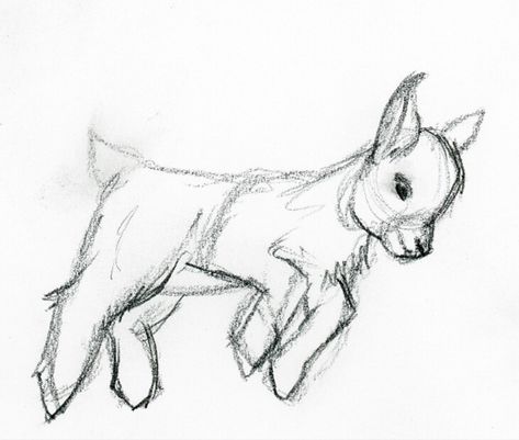 Goat Pencil Drawings, Cute Goats Drawing, Goat Sketch Drawings, How To Draw A Goat, Farm Animal Sketches, Goat Drawing Sketch, Goat Tattoo Cute, Baby Goat Tattoo, Baby Goat Drawing