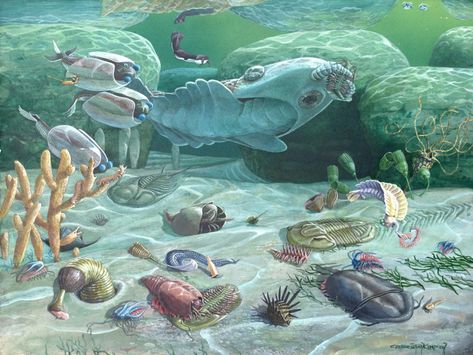 Fauna of the Cambrian Period by  Carel Pieter Brest van Kempen. Prehistoric Wildlife, Fauna Marina, Prehistoric World, Ancient Animals, Paleo Art, Extinct Animals, Prehistoric Creatures, Prehistoric Animals, Arte Animal