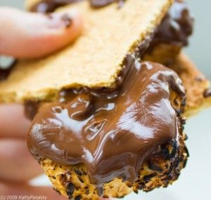 Chocolate Vegan Smore. Campfire Dessert, Vegan Smores, Endangered Species Chocolate, Campfire Smores, Campfire Desserts, Chocolate Recipes Easy, Vegan Living, Ooey Gooey, Vegan Treats