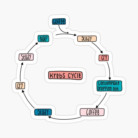 Campaign Stickers, Cycle Stickers, Cycle Design, Krebs Cycle, Coffee Study, College Stickers, Science Stickers, Graphic Design Quotes, Medical Laboratory Science