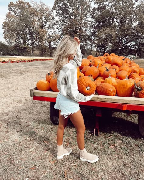 Pumpkin Picking Date Outfit, Pumpkin Patch Outfit Leggings, Pumpkin Patch Outfit Shorts, Summer Pumpkin Patch Outfit, Hot Pumpkin Patch Outfit, Pumpkin Carving Outfit, Pumpkin Festival Outfit, Pumpkin Patch Outfit 2023, Western Pumpkin Patch Outfit