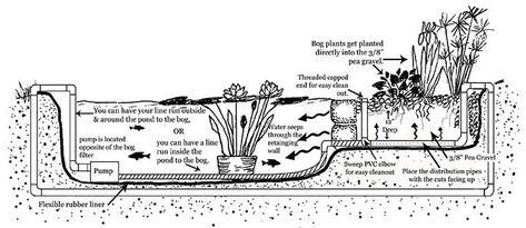 Bog Filter, Pond Construction, Bog Plants, Living Pool, Water Gardens Pond, Bog Garden, Natural Swimming Ponds, Nutrient Absorption, Diy Pond