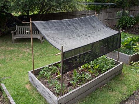 A step-by-step guide for making shade cover fitted for a garden bed. Made with bamboo poles and shade cloth Garden Sun Shade, Vegetable Garden Beds, Garden Shade, Garden Planter Boxes, Diy Shades, Pergola Design, Wooden Pergola, Garden Area, Garden Plans