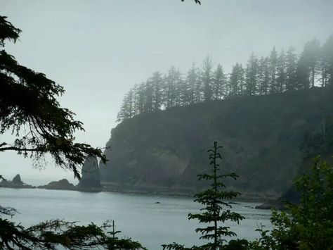 Third beach, La Push, WA La Push Beach, The Twilight Saga, Twilight Saga, Nature Aesthetic, Pretty Places, Pacific Northwest, Small Towns, Happy Places, Beautiful Places