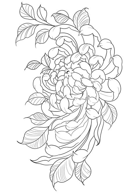 Chrysanthemum Half Sleeve Tattoo, Chrisanthiums Flowers Drawing, Chrysanthemum Shoulder Tattoo, Spider Mum Tattoo, Chrysanthemum Tattoo Shoulder, Big Flower Drawing, Japanese Chrysanthemum Tattoo, Japanese Floral Tattoo, Chrysanthemum Drawing