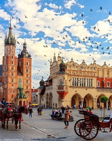 Krakow, Poland 🇵🇱 Krakow Poland Aesthetic, Poland Aesthetic, Poland Nature, Poland Cities, Poland Krakow, Poland Country, Krakow Poland, July 10, Krakow