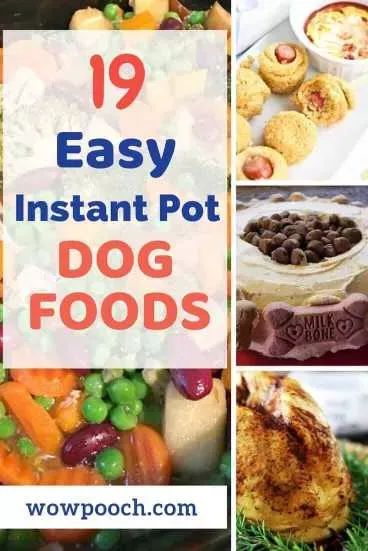 In addition  some dogs may suffer from food allergies that may include a reaction to one or more of the ingredients. Some dogs  such as poodles  are prone to having respiratory illnesses because of their tendency to snore or bark when it is time for their dinner. Instant Pot Dog Food Recipes, Homemade Dog Food Vet Approved, Dog Meals, Dogs Recipes, Cook Dog Food, Doggy Treats, Diy Dog Food, Make Dog Food, Pet Nutrition