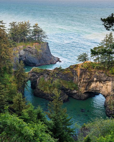 Have you been to Natural Bridges Viewpoint on the Oregon Coast? The photos don’t do it justice. You really just need to go check it out! I really wanted to hike down to the Natural Bridges on the southern Oregon coast, but the way to get there was overgrown with poison oak. ⠀⠀⠀⠀⠀⠀⠀⠀⠀ SO…. my best friend and I decided it was probably best to pay attention to the sign (📸 last photo) on the trail. ⠀⠀⠀⠀⠀⠀⠀⠀⠀ As tempting as it was to get photos of her or myself standing on that narrow bridge, ... Southern Oregon Coast, Poison Oak, Southern Oregon, Natural Bridge, Dream Travel Destinations, Oregon Coast, My Best Friend, Travel Dreams, Pay Attention