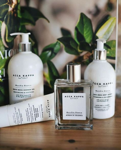 ACCA KAPPA Japan (@accakappajapan) posted on Instagram • Apr 4, 2022 at 12:00pm UTC Acca Kappa, Mayfly, Lemon Extract, Hand Cream, Shower Gel, Hand Soap Bottle, Shampoo Bottle, Moisturizer, Japan