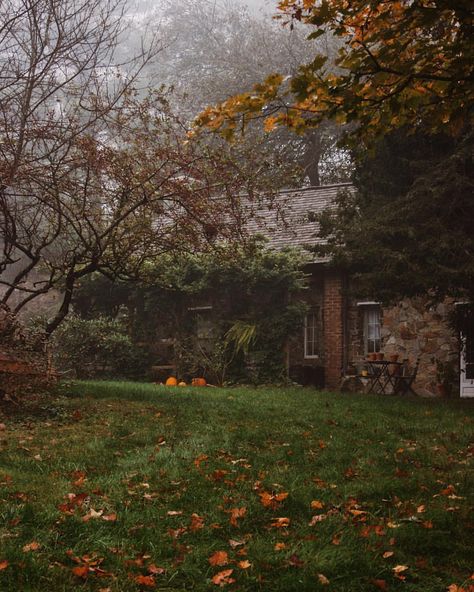 3,376 Likes, 14 Comments - Guinevere von Sneeden  (@guineverevonsneeden) on Instagram: “A happy All Hallows Day to you and wishing you a happy harvest, in many ways. ” Foggy Background, Happy Harvest, Irish Cottage, Season Of The Witch, Best Seasons, We Fall In Love, Autumn Cozy, Autumn Aesthetic, Samhain