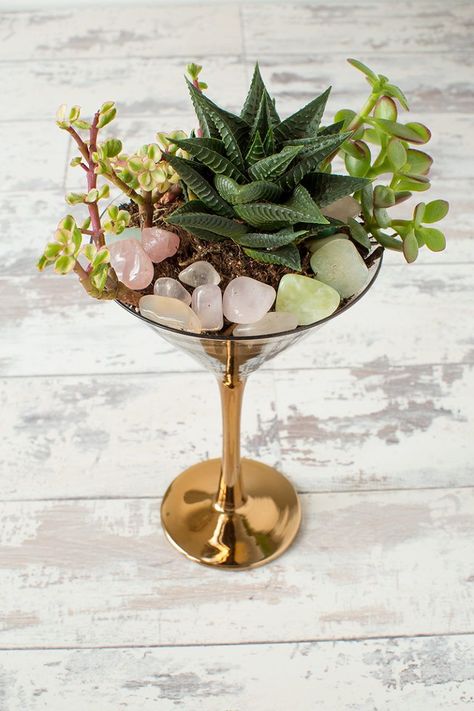 Wine Glass Terrarium, Broken Pot Fairy Garden, Pot Fairy Garden, Plants In Bedroom, Succulents In Glass, Hobby Lobby Diy, Terrariums Diy, Unusual Hobbies, Deck Terrace