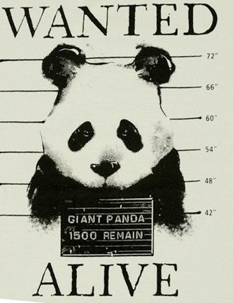 endangered species tshirt design Endangered Species Poster, Extinction Art, Endangered Species Project, Species Poster, Endangered Species Art, Great Grandchildren, Panda Love, Rare Animals, Endangered Animals