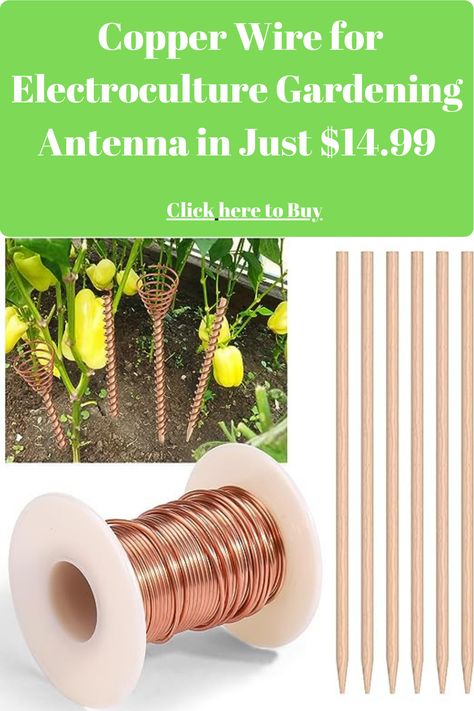 Copper Wire for Electroculture Gardening Antenna, 99.9% Pure Electro Culture Gardening Soft Copper Wire with 6 Stake for Growing Garden Plants and Vegetables, 16 Gauge, 32Feet / 10m Electroculture Gardening, Electro Culture, Harvest Storage, Growing Garden, Copper Rod, Growing Gardens, Gardening Techniques, Garden Stakes, Edible Garden