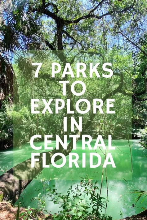 Florida National Parks Road Trip, Florida Camping Spots, Florida Hiking, Best Hiking Trails In Florida, Florida Hikes, Hiking In Florida, Rv Parks In Florida, Florida State Parks Map, Florida Vacation Spots