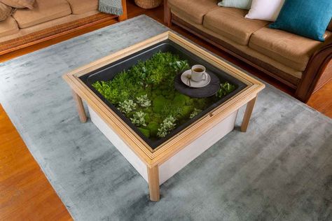 Make a coffee table terrarium Terrarium Coffee Table, Fish Tank Coffee Table, Terrarium Table, Repurposed Planter, Build A Terrarium, Beautiful Terrariums, Plant Table, Terrarium Diy, Table Diy