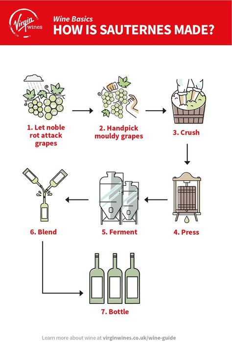 Sauternes is style of sweet wine made using grapes which have been attacked by noble rot. Noble rot turns the grapes mouldy which causes the skins to weaken and the water to evapourate quicker, resulting in shriveled grapes. These are then handpicked before being crushed and turned into wine. To find out more about Sauternes and other sweet wines, head over to our Wine Guide. #wineknowledge #winebasics #learnaboutwine Wine Basics, Types Of Fungi, Wine Knowledge, Semillon, Dry Wine, Wine Guide, High Sugar, French Dessert, Wine Desserts