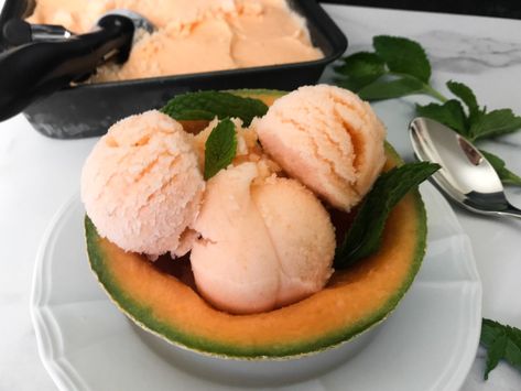 Cantaloupe Sorbet served in scooped out cantaloupe shells and garnished with mint Cantaloupe Sorbet, Melon Recipes, Ice Cream Sorbet, Sorbet Recipe, Milk It, Dessert For Two, Kinds Of Fruits, Sorbet Recipes, Sugar Substitute