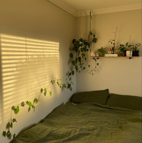 Bedroom inspiration, small bedroom ideas, plantroom, plant decor, plant aesthetics, plants in bedroom, morning sun, sunrise, shutters, sage green bedroom 2 Sisters Aesthetic, Bedroom Ideas Plants, Bedroom Ideas For 2 Sisters, Sisters Aesthetic, Bedroom Plants Decor, Zen Bedroom Ideas, Bedroom Ideas For Small Rooms Diy, Stylish Bedroom Decor, Bedroom Ideas Aesthetic