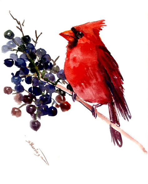 Buy Cardinal Bird, Watercolor by Suren Nersisyan on Artfinder. Discover thousands of other original paintings, prints, sculptures and photography from independent artists. Painting Rain Drops, Humming Bird Tattoos, Cardinal Paintings, Painted Wood Slice Ornaments, Cardinal Birds Art, Complementary Color Scheme, Cardinal Watercolor, Painting Themes, Suren Nersisyan