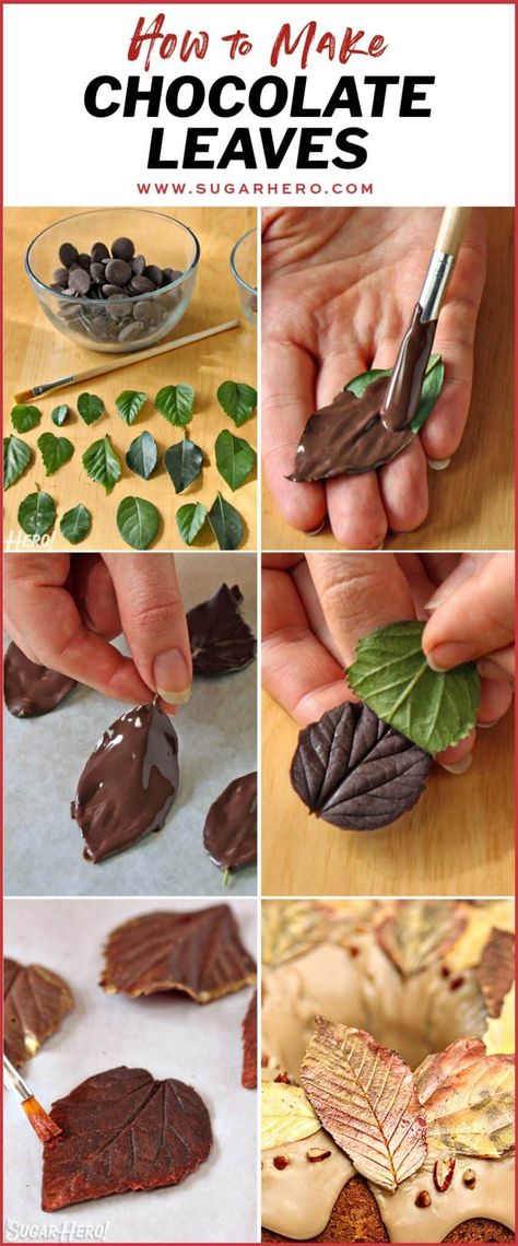 Chocolate leaves are an easy cake decoration that add a beautiful touch to any fall dessert. Learn how to make chocolate leaves, plus tips on how to decorate them. #sugarhero #chocolateleaves #chocolatedecorations Chocolate Birthday Cake Decoration, Chocolate Leaves, Chocolate Bowls, Chocolate Garnishes, Chocolate Work, Chocolate Recipes Homemade, Cupcake Cake Designs, Luster Dust, Chocolate Cake Decoration