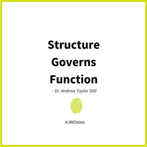 The structure is anything in your body – bones, muscles, connective tissue (fascia, ligaments, tendons), organs and more. Right down to the level of your cells. If a structure is not aligned … Osteopathy Quotes, Body Bones, Craniosacral Therapy, Aging Quotes, Wellness Resources, Connective Tissue, Massage Room, Massage Therapy, Book Quotes