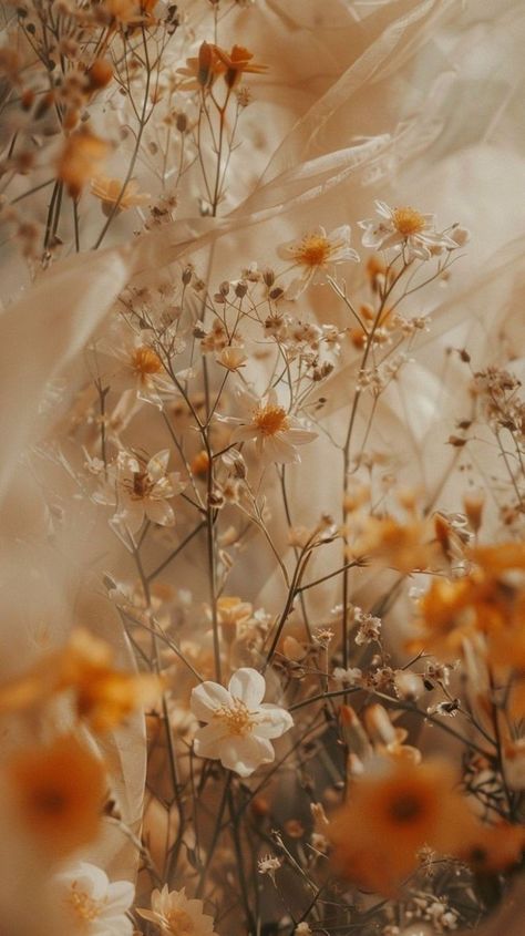 Iphone Wallpaper Backgrounds, Find Aesthetic, Wallpaper Backgrounds Aesthetic, Wallpaper Fall, Backgrounds Aesthetic, Your Wallpaper, Iphone Wallpaper Fall, Lets See, Nothing But Flowers