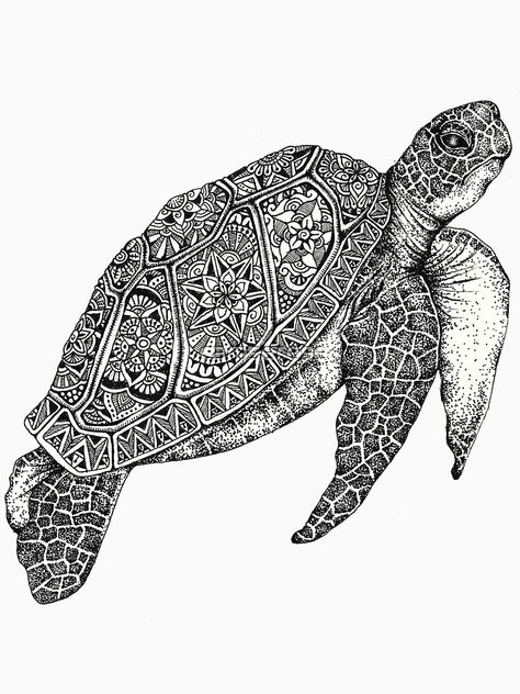 Sea Turtle Coloring Pages, Zentangle Animals Art, Turtle Coloring, Mandala Turtle, Zentangle Animals, Tier Tattoo, Turtle Tattoo Designs, Turtle Coloring Pages, Turtle Drawing