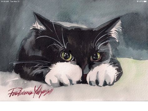 Tuxedo Cat Tattoo, Cats Black And White, Cats Black, Cat Picture, Watercolor Art Paintings, Drawing Watercolor, White Drawing, Original Watercolor Art, Super Cat