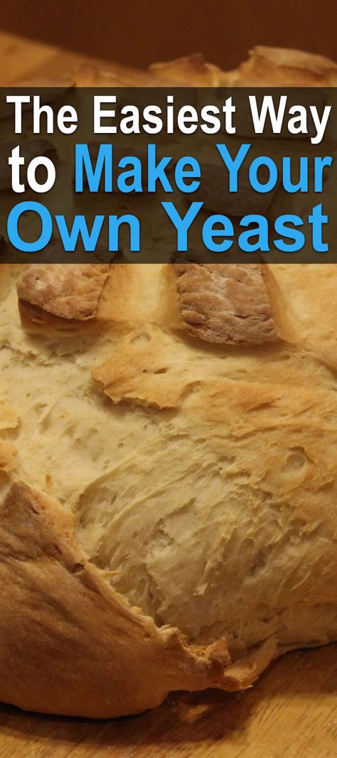 Homemade Yeast Free Bread, Quick Bread Without Yeast, Bread Maker Recipes No Yeast, Valerie Bertinelli Easy Milk Bread, How To Make Bread No Yeast, Easy Yeast Free Bread Recipes, How To Make Yeast For Bread, How To Make Bread Without Yeast Easy, No Yeast No Milk Bread