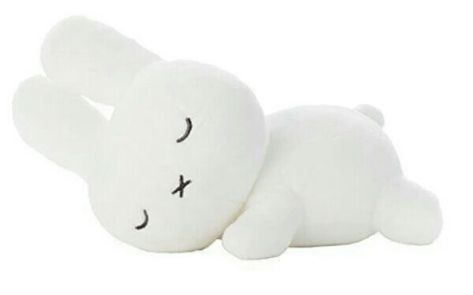 Miffy Widget Long, Miffy Sleeping, Miffy Banner, Miffy Characters, Miffy Png, Miffy Widget, Miffy Cute, Concept Reference, Sleeping Bunny